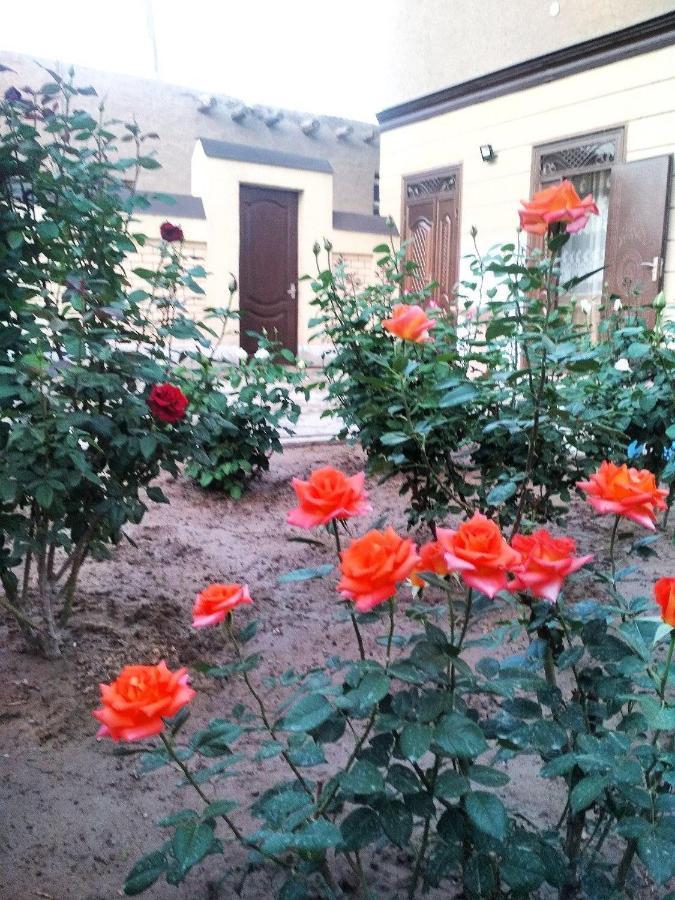 Shodlik Guest House Khiva Exterior photo